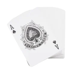 Accessoires pour poker 100 jetons et 1 jeu de cartes