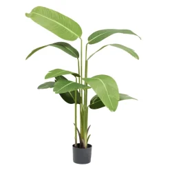 Arbre artificiel XL oiseau de paradis strelitizia H160cm < Gifi Best