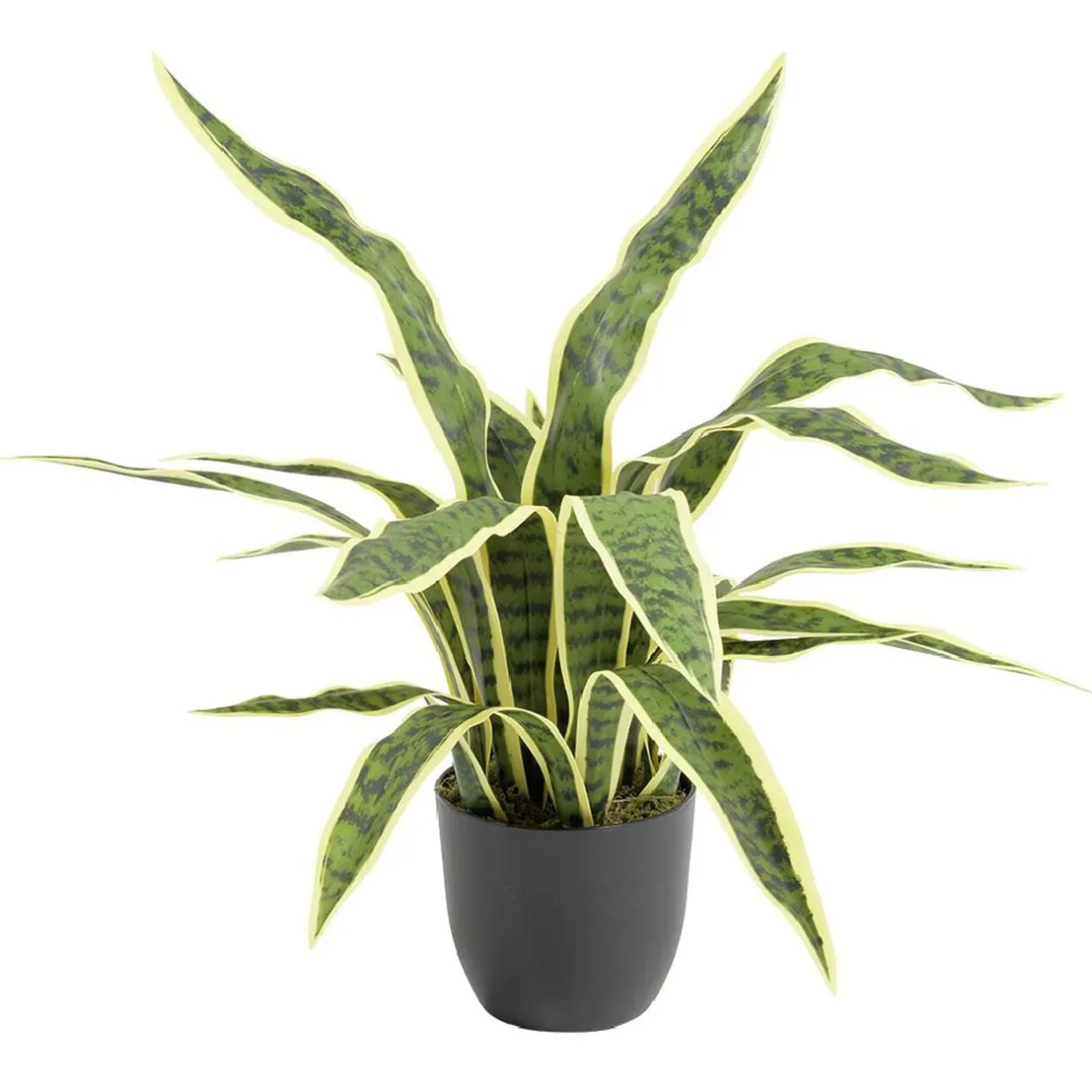 Arbre Sanseviera artificiel vert Ø25xH60cm < Gifi Best
