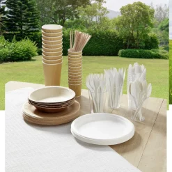 Assiette plate ronde en canne à sucre x12 < Gifi