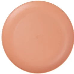 Assiette plate ronde plastique Ø23,5cm (3 modèles) < Gifi Online