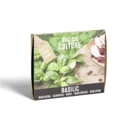 Bac de culture basilic avec graines et terreau