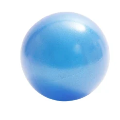 Ballon exercice fitness Ø25cm (2 modèles bleu ou rose)
