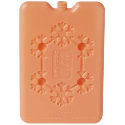 Bloc de glace réfrigérant 170 ml (4 modèles)