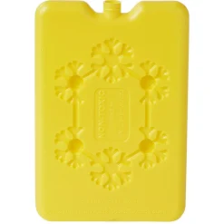 Bloc de glace réfrigérant 170 ml (4 modèles)