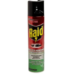 Bombe aérosol antirampant Raid fourmi araignée cafard eucalyptus 400ml < Gifi Sale