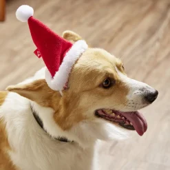 Bonnet pour chien Père Noël L17xH13cm < Gifi Sale