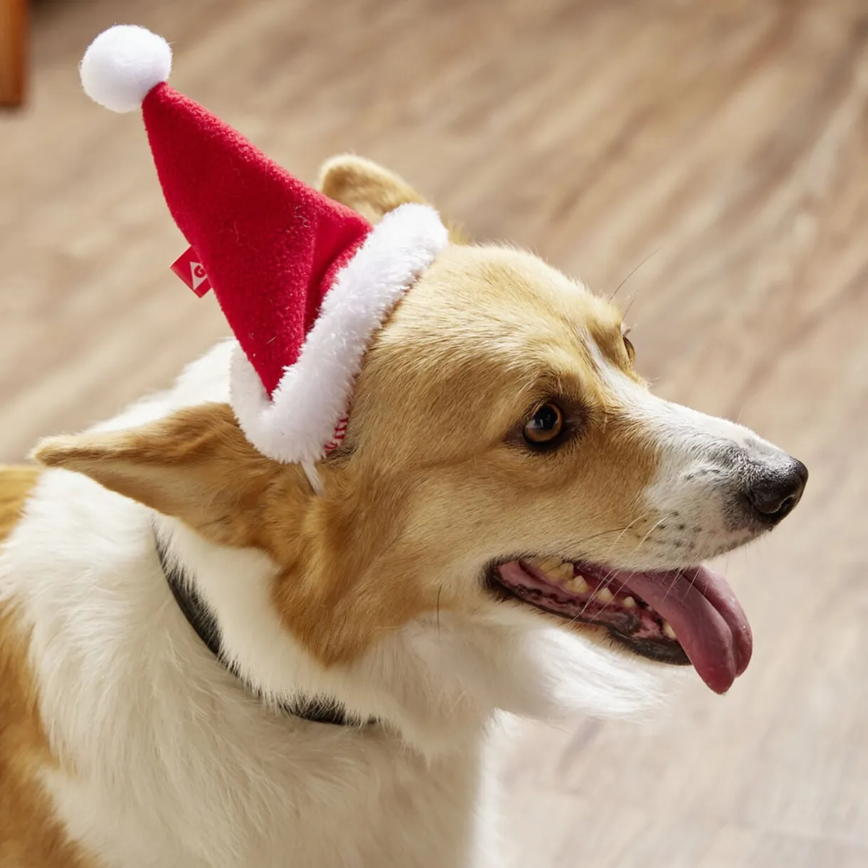 Bonnet pour chien Père Noël L17xH13cm < Gifi Sale