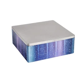 Boîte alimentaire carré en fer décor bleu et argenté 26x26xH10cm < Gifi Hot