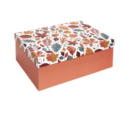 Boîte à cadeau rectangulaire 32x24xH11,2cm - 2 modèles