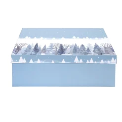Boîte à cadeau rectangulaire 32x24xH11,2cm - 2 modèles