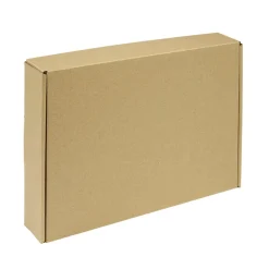 Boîte carton d'expédition marron x5 format 30x20xH5cm < Gifi Clearance