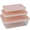 Boîte de conservation x3 verre et plastique 820/1550/2650ml (2 modèles vert ou rose)