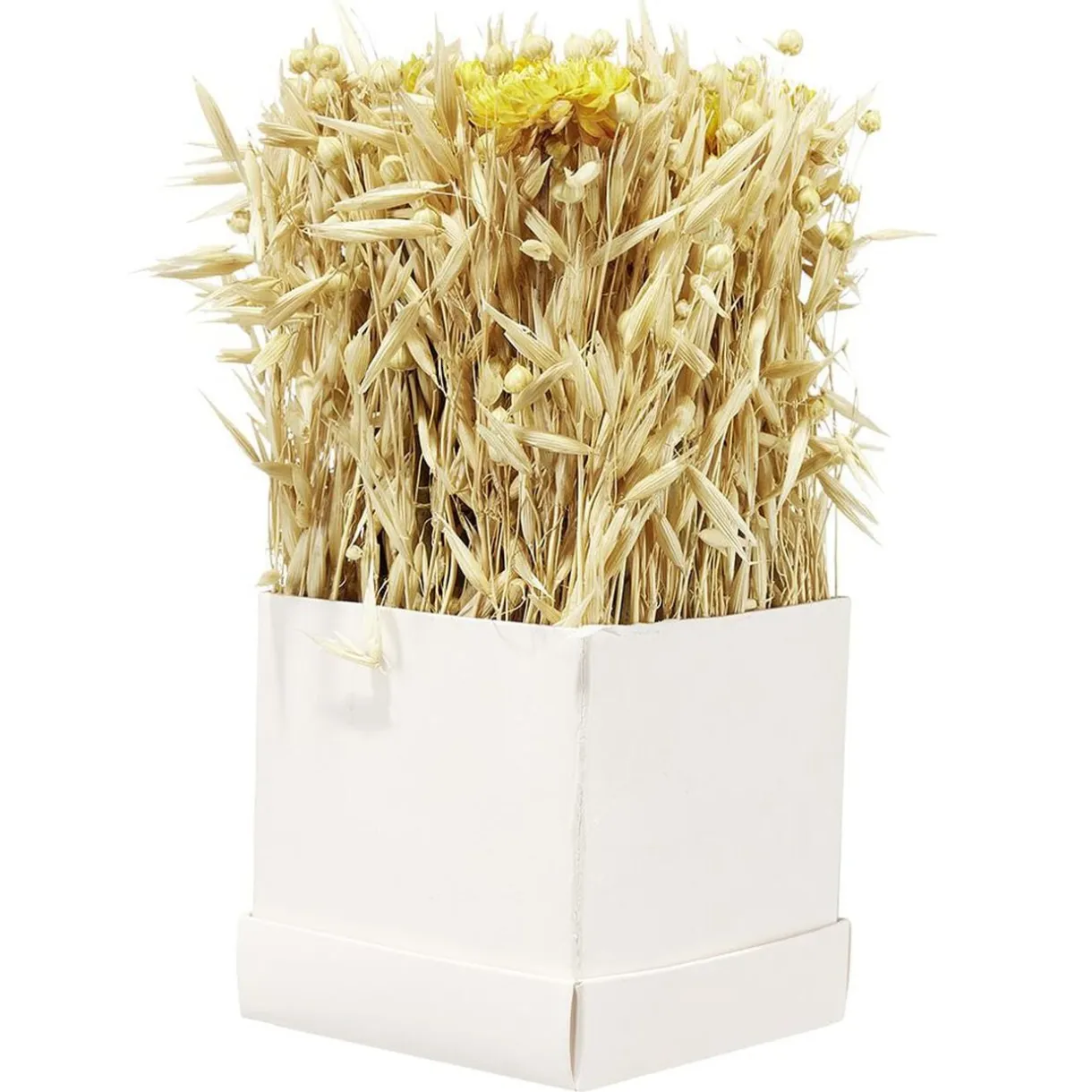 Boîte de fleurs séchées jaunes 9,5x9,5x9,5cm < Gifi Sale