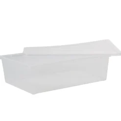 Boîte de rangement transparent avec fermeture à clips 9L