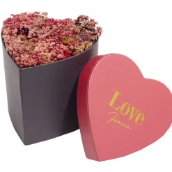 Boîte forme coeur intérieur fleurs séchées 15x15xH14cm < Gifi Discount