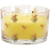 Bougie citronnelle pot en verre motif tropical 30H - Ø13xH8cm