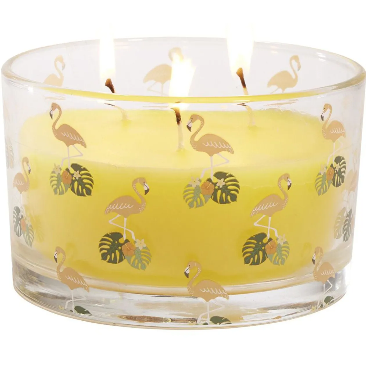Bougie citronnelle pot en verre motif tropical 30H - Ø13xH8cm