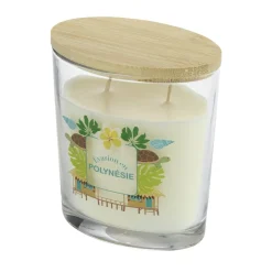 Bougie parfumée Ambiances Devineau 2 mèches Polynésie senteur monoï 30H < Gifi Clearance