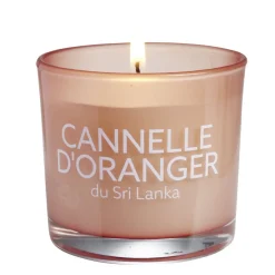 Bougie parfumée Ambiances Devineau senteur cannelle d'oranger du Sri Lanka 20H < Gifi Best
