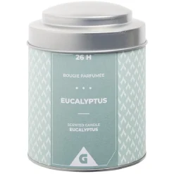 Bougie parfumée dans pot métal gris et vert senteur eucalyptus 26H < Gifi Discount