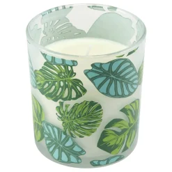 Bougie parfumée dans pot verre feuillage phosphorescent Ø8,5xH10cm (3modèles) < Gifi Online