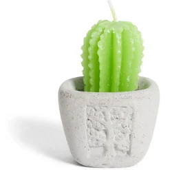 Bougie plante dans pot ciment Ø5xH7cm < Gifi New