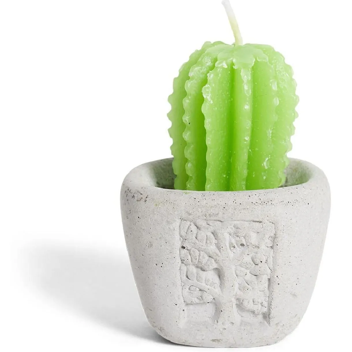 Bougie plante dans pot ciment Ø5xH7cm < Gifi New