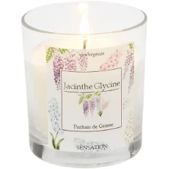 Bougie senteur botanique