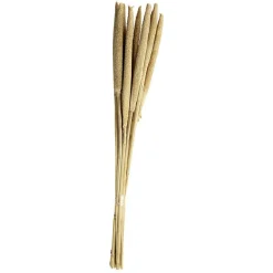Bouquet Babala séché marron H60cm < Gifi New