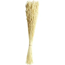 Bouquet d'herbe Avana séchée naturelle H60cm < Gifi Online