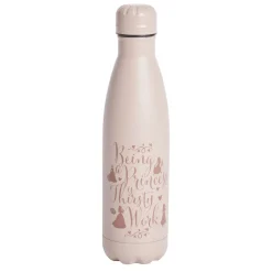 Bouteille isotherme Princesse Disney rose 500ml < Gifi Sale