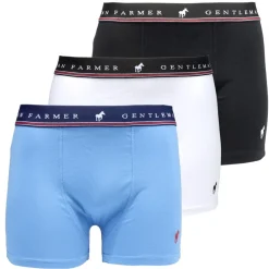 Boxer homme x3 Gentleman farmer coton strech taille élastique S/M/L/XL