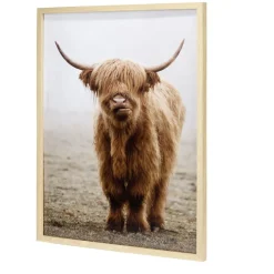 Cadre bois image vache Highland marron 40x50cm < Gifi New