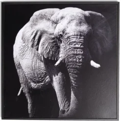 Cadre déco en bois photo éléphant 30x30cm < Gifi Sale