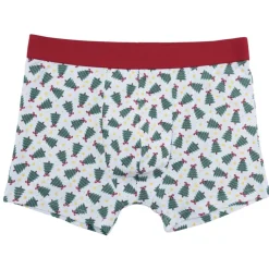 Caleçon homme x2 coton boîte cadeau Noël S/M/L/XL (2 modèles) < Gifi Hot