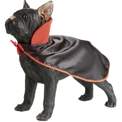 Cape de vampire pour chien