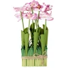 Carré d'orchidée artificielle rose 19x12xH36cm < Gifi