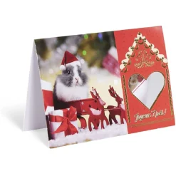 Carte de voeux Noël 12x17cm