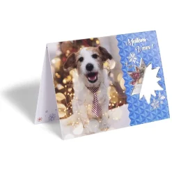 Carte de voeux Noël 12x17cm