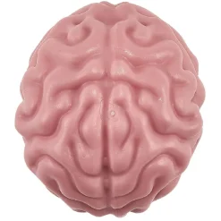 Cerveau anti stress rose < Gifi Hot