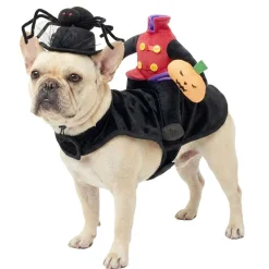 Chapeau pour animal déguisement Halloween araignée noir Ø13,5xH11,5cm < Gifi New