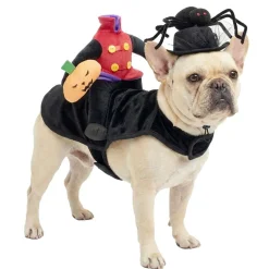 Chapeau pour animal déguisement Halloween araignée noir Ø13,5xH11,5cm < Gifi New