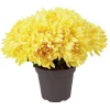 Chrysanthèmes artificiels dans pot - 29 têtes - Jaune