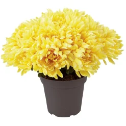 Chrysanthèmes artificiels dans pot - 29 têtes - Jaune