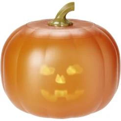 Citrouille animée orange