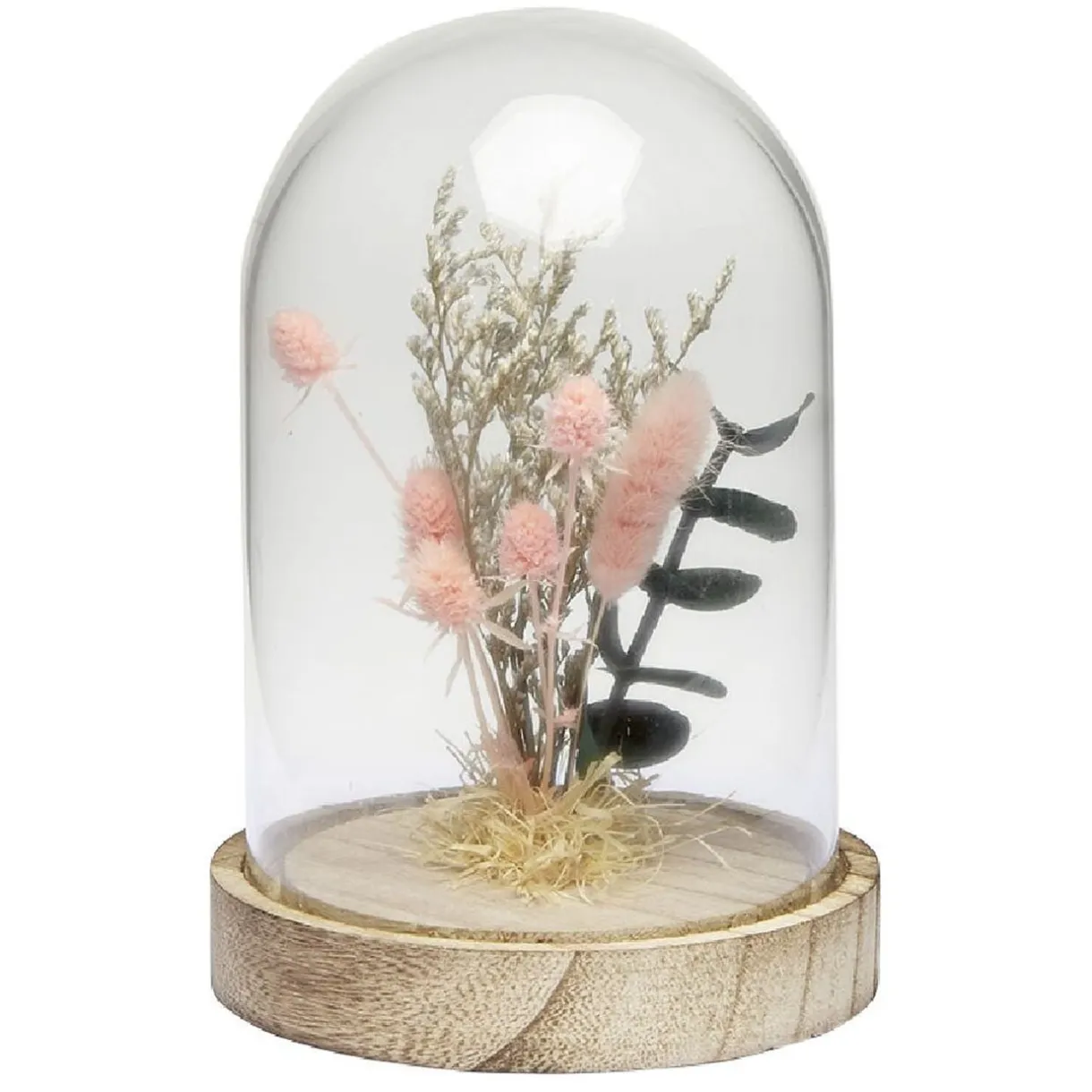 Cloche déco pampa socle bois naturel < Gifi Hot