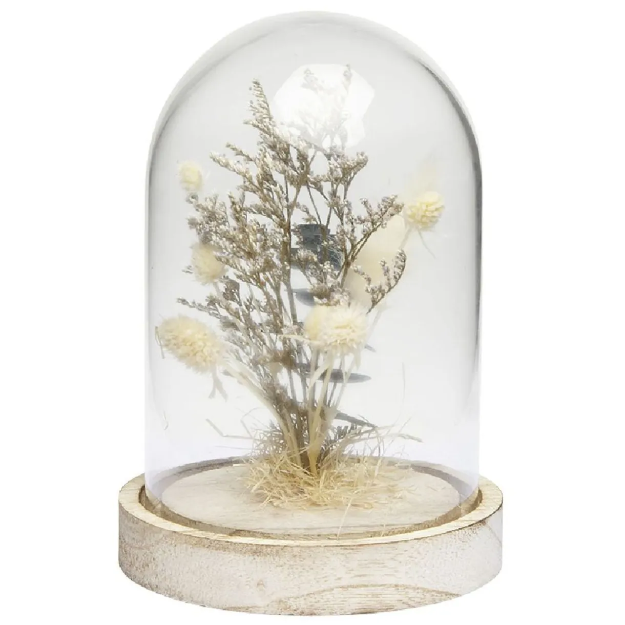 Cloche déco pampa socle bois naturel < Gifi Hot