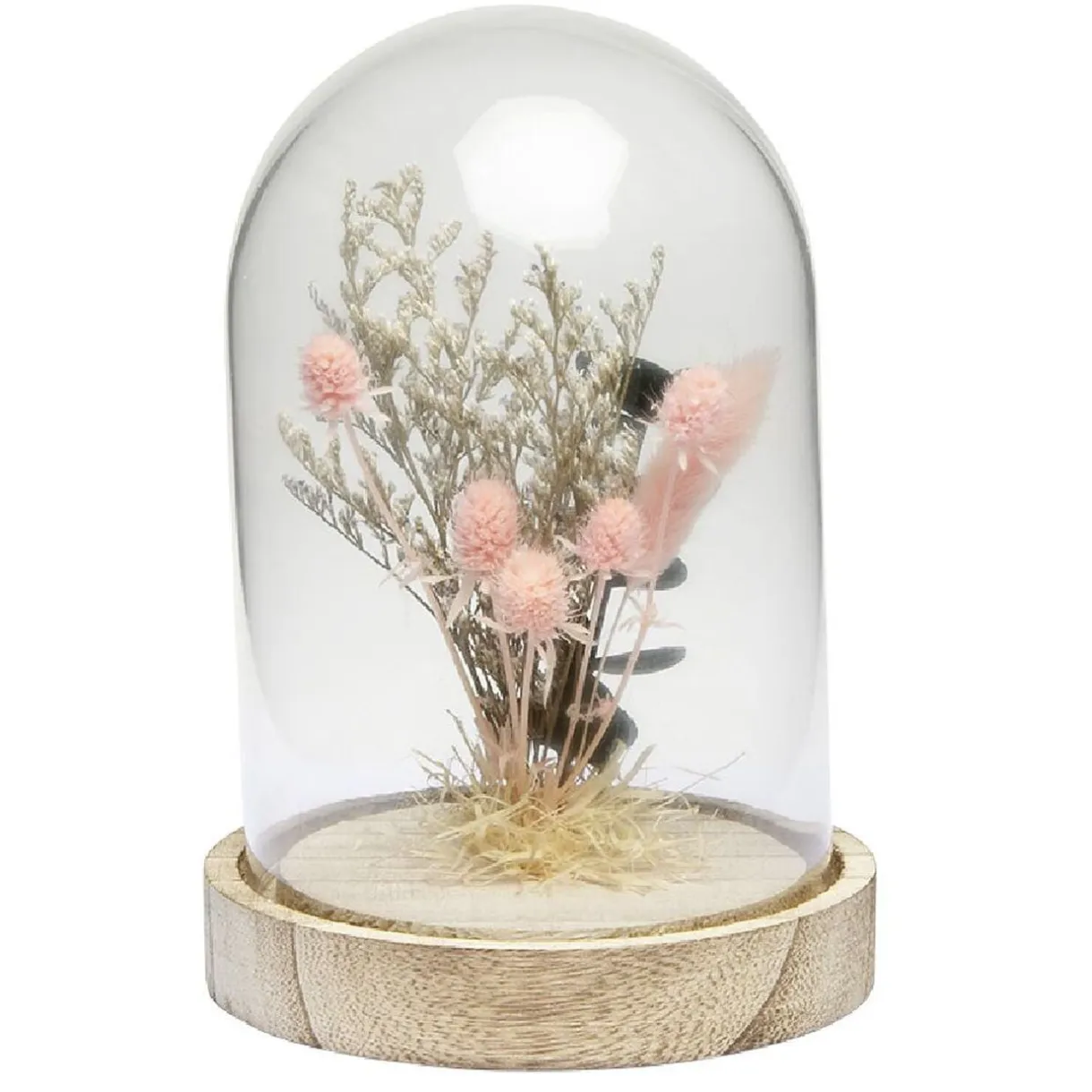 Cloche déco pampa socle bois naturel < Gifi Hot
