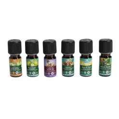 Coffret huiles essentielles et parfums Mességué synergie 6x5ml en bois < Gifi Clearance